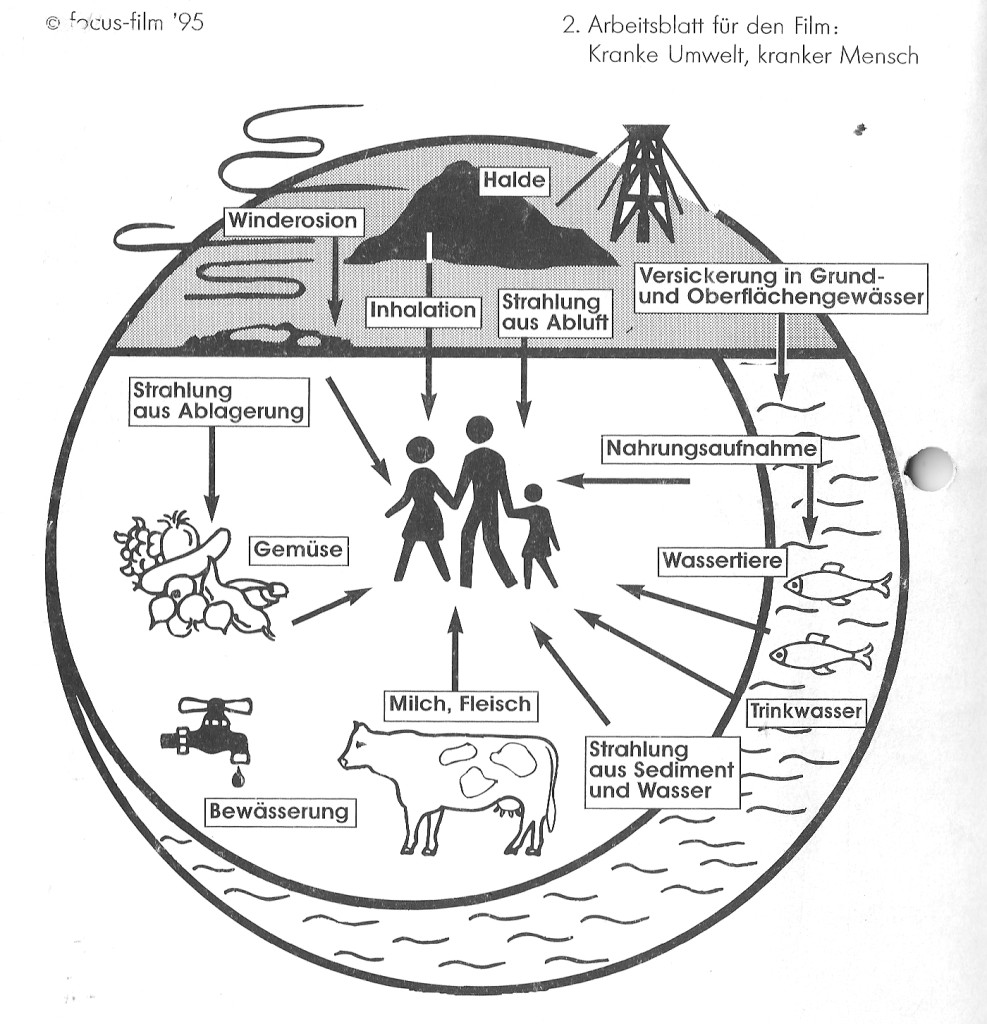 2. arbeitsblatt für den film kranke umwelt kranker mensch